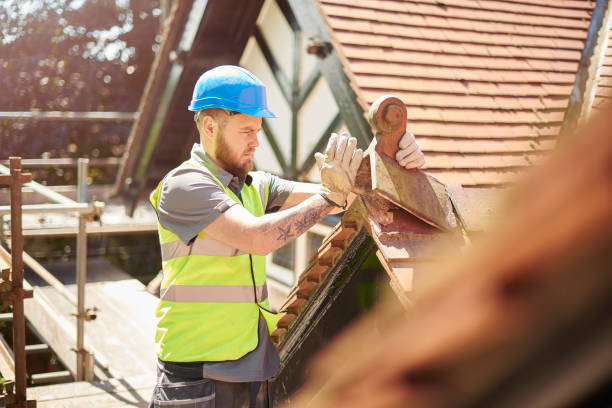 Best Roof Gutter Cleaning  in Swannanoa, NC
